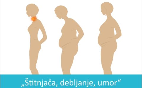 Thyroid, weight gain, fatigue